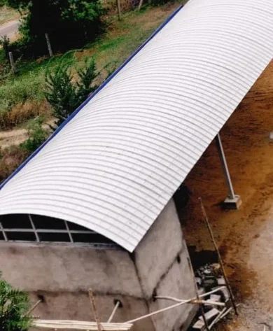 Roof Shed
